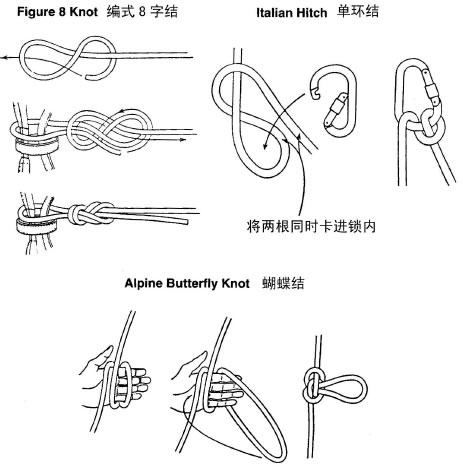 绳结与绳套